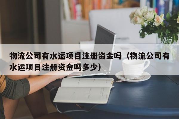 物流公司有水运项目注册资金吗（物流公司有水运项目注册资金吗多少）