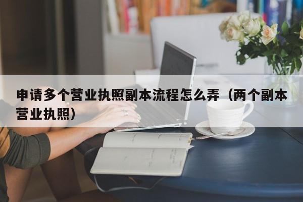 申请多个营业执照副本流程怎么弄（两个副本营业执照）