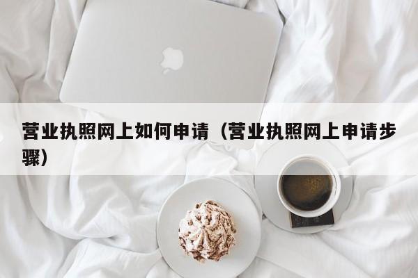 营业执照网上如何申请（营业执照网上申请步骤）