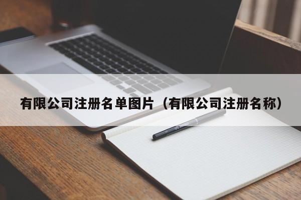 有限公司注册名单图片（有限公司注册名称）