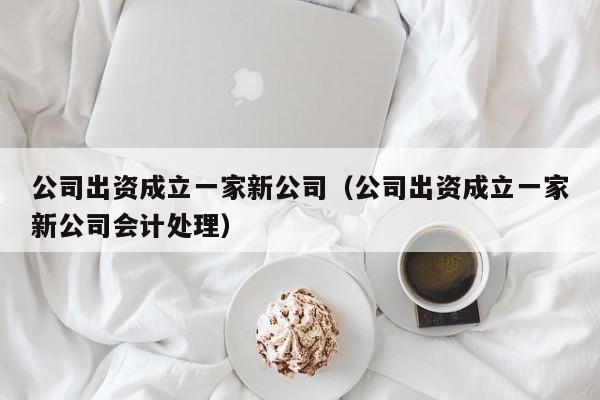 公司出资成立一家新公司（公司出资成立一家新公司会计处理）