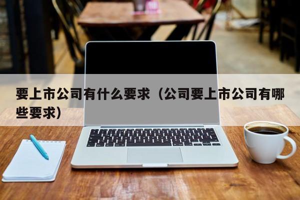 要上市公司有什么要求（公司要上市公司有哪些要求）