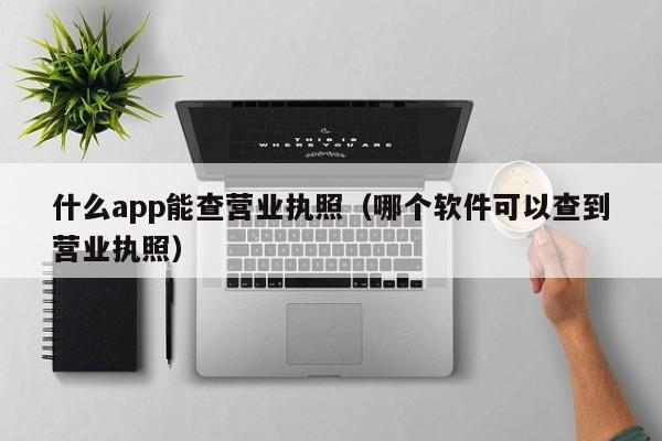 什么app能查营业执照（哪个软件可以查到营业执照）