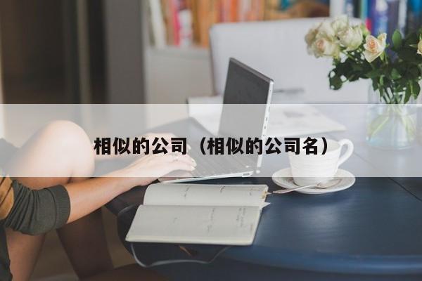 相似的公司（相似的公司名）